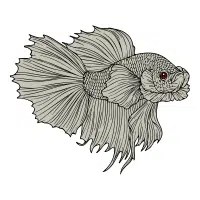 Metallic | Betta Breeds Names