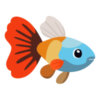 Midnight | Molly Breeds Names