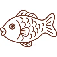 Mirror | Carp Breeds Names