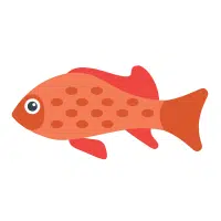 Mouse | Platy Breeds Names