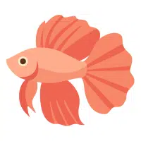 Mustard Gas | Betta Breeds Names
