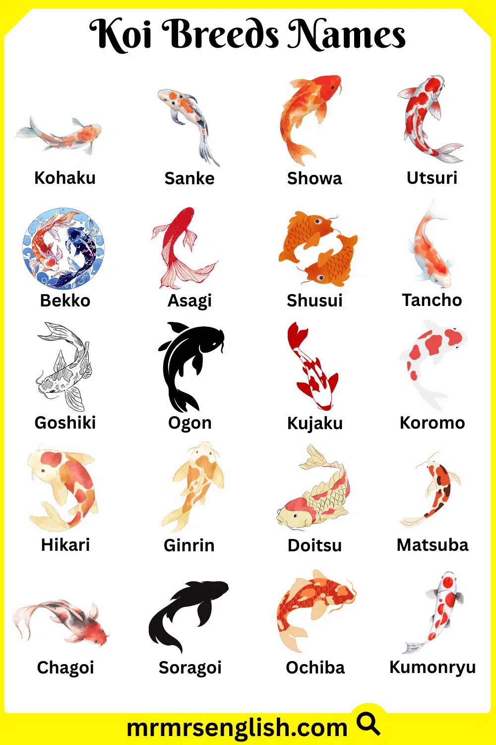 Names of Koi Breeds in English with Pictures