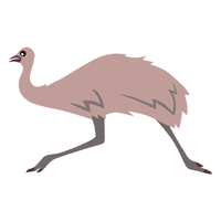 Native | Emu Breeds Names