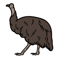 Natural | Emu Breeds Names