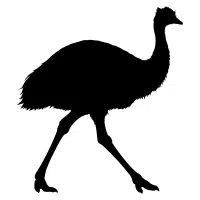 Northern | Emu Breeds Names