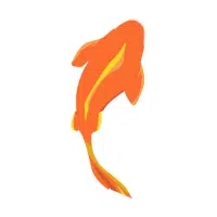 Ogon | Carp Breeds Names