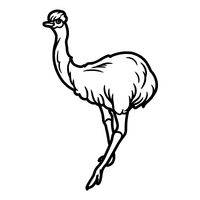 Outback | Emu Breeds Names