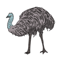 Plains | Emu Breeds Names