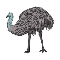 Plains | Emu Breeds Names