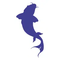 Platinum | Koi Breeds Names