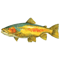 Rainbow | Trout Breeds Names