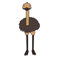 Rare | Emu Breeds Names