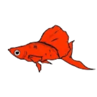 Red | Molly Breeds Names