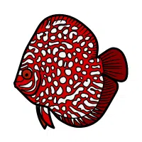 Red | Discus Breeds Names 
