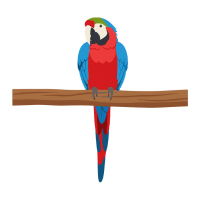 Red-Blue Hybrid | Macaw Breeds Names