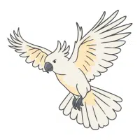Red-Vented | Cockatoo Breeds Names