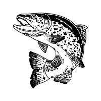 Redband | Trout Breeds Names