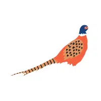 Reeves’s | Pheasant Breeds Names