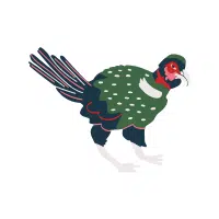 Ring-necked | Pheasant Breeds Names