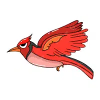 Scarlet | Parrot Breeds Names