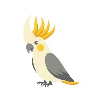 Short-Billed | Cockatoo Breeds Names