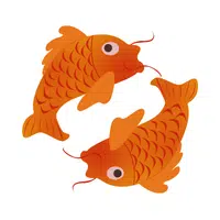 Shusui | Koi Breeds Names