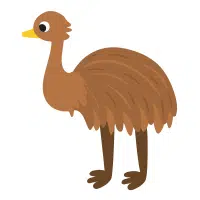 Shy | Emu Breeds Names