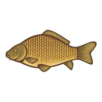 Siamese | Carp Breeds Names