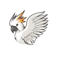 Silver | Cockatoo Breeds Names