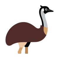Small | Emu Breeds Names