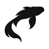 Soragoi | Koi Breeds Names