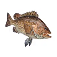 Speckled | Swordtail Breeds Names