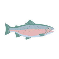 Steelhead | Trout Breeds Names