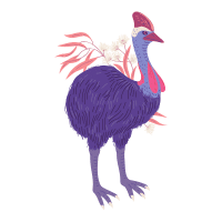 Swift | Emu Breeds Names