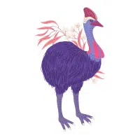 Swift | Emu Breeds Names