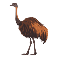 Tall | Emu Breeds Names