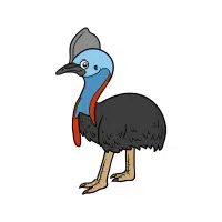 Tame | Emu Breeds Names