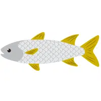 Tancho | Carp Breeds Names