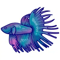 Turquoise | Betta Breeds Names