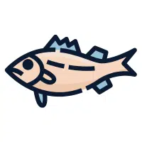 Tuxedo | Platy Breeds Names