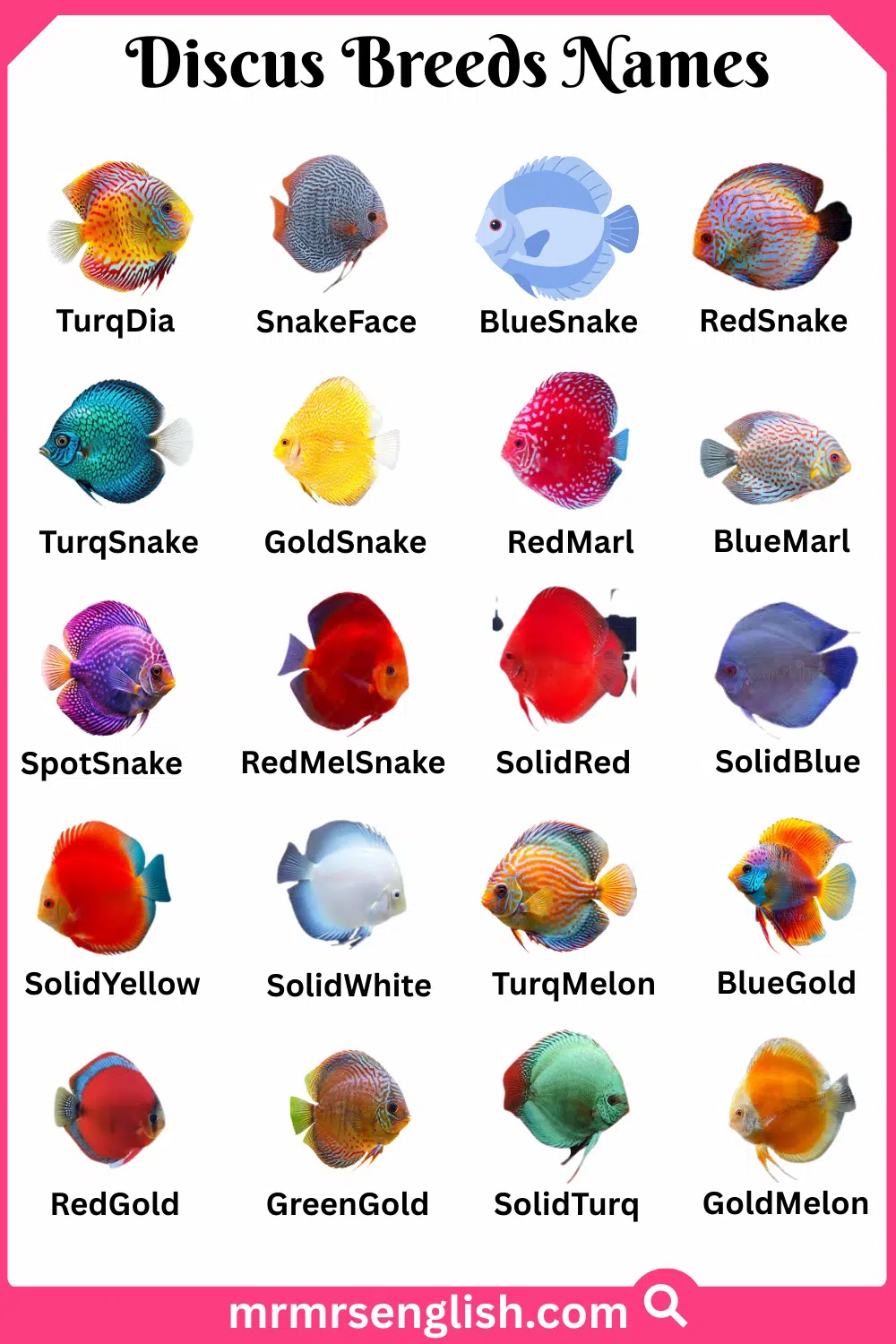 Types of Discus Names in English with Pictures