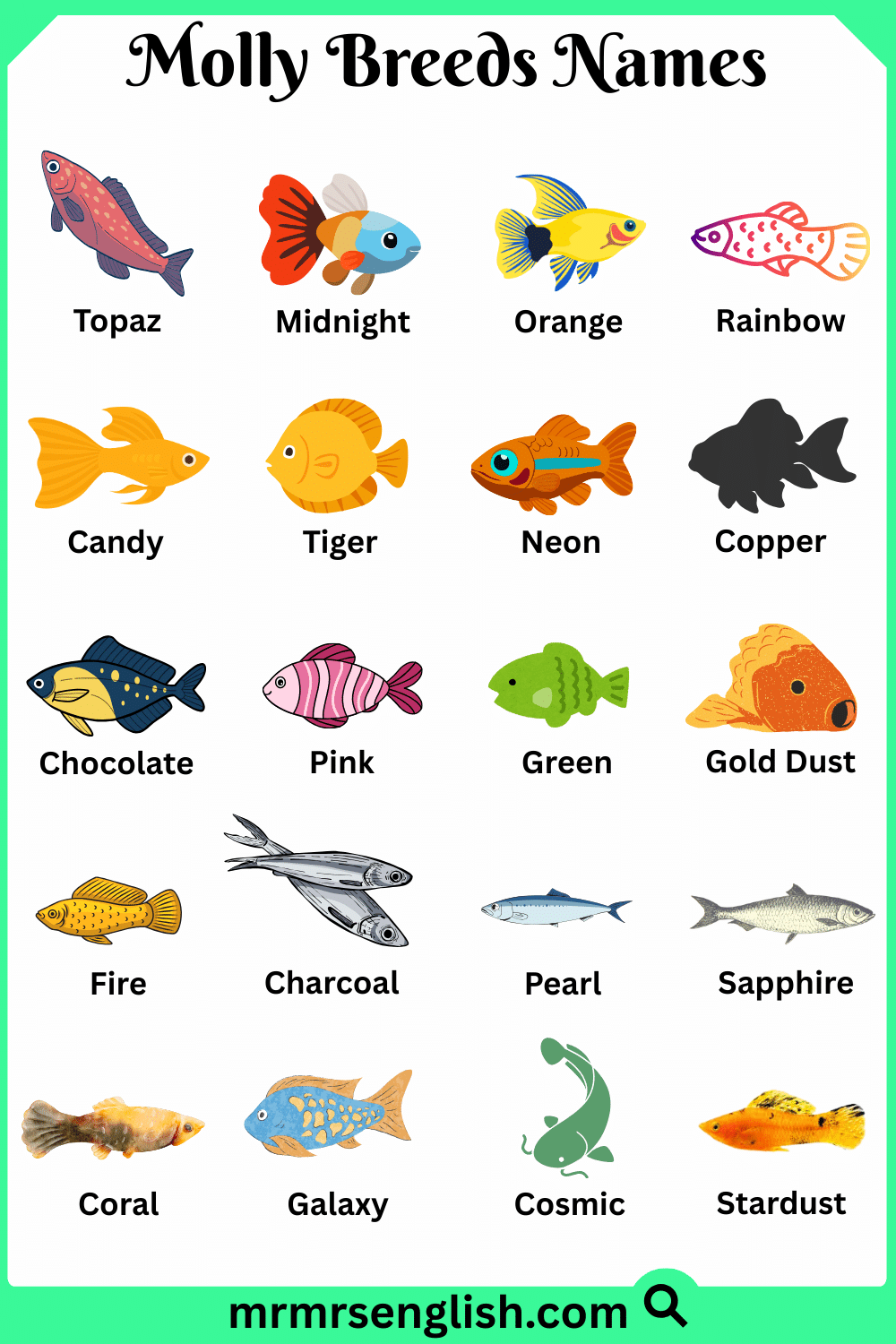 Types of Molly Names in English with Pictures