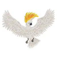 Umbrella | Cockatoo Breeds Names