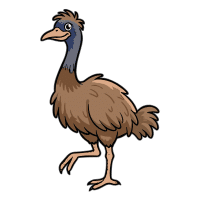 Western | Emu Breeds Names