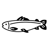 White | Trout Breeds Names