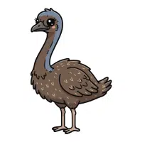 Wild | Emu Breeds Names