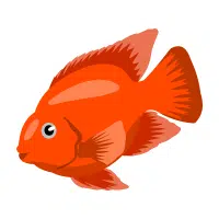 YLab | Cichlid Breeds Names