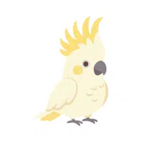 Yellow Crested | Cockatoo Breeds Names