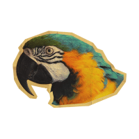 Yellow-Headed | Macaw Breeds Names