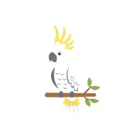 Yellow-Tailed | Cockatoo Breeds Names